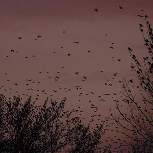 貂蝉被暴❌爽流白浆
